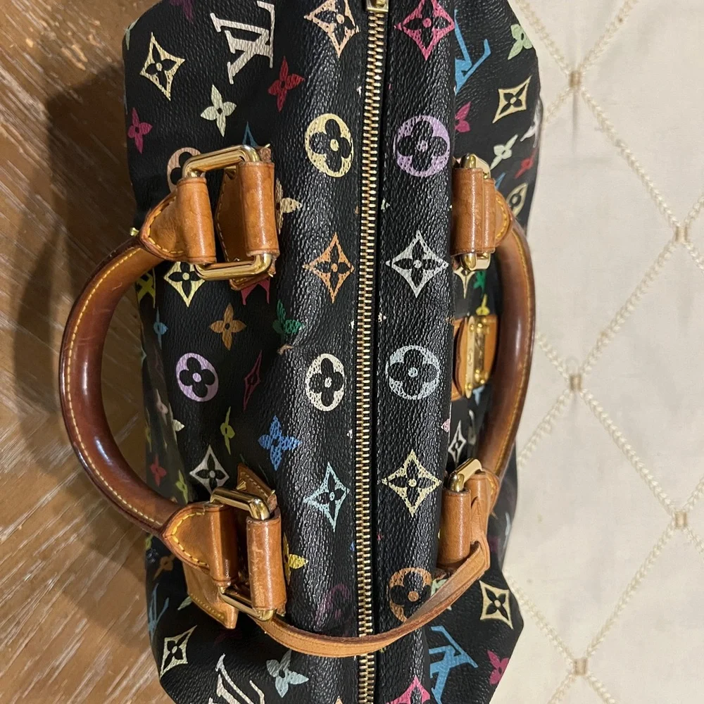 Louis Vuitton Multicolor Speedy Takashi Murakami - Picture 7 of 12